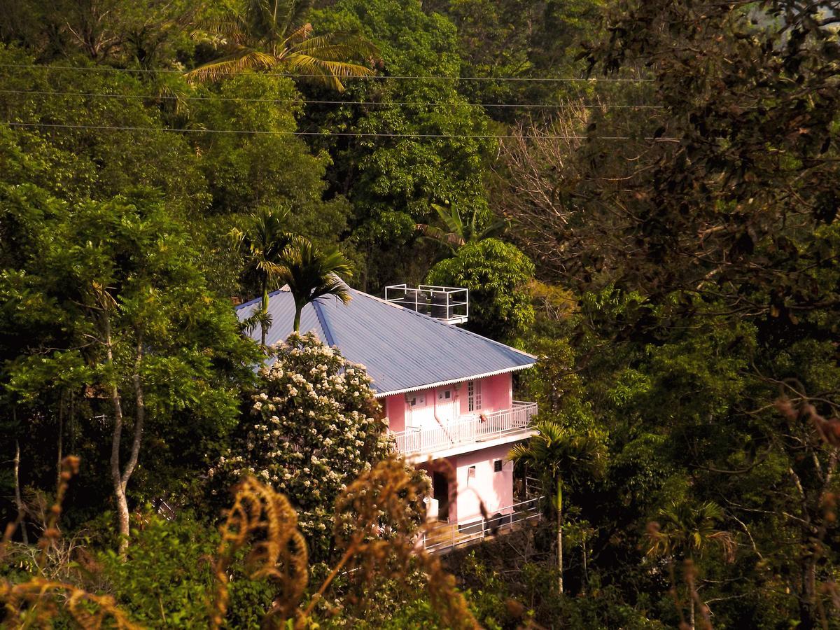 Drizzle Valley Cottage Munnar Exterior foto